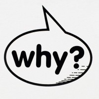 WHY? t-shirt