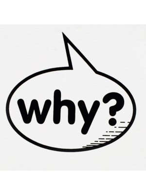 WHY? t-shirt